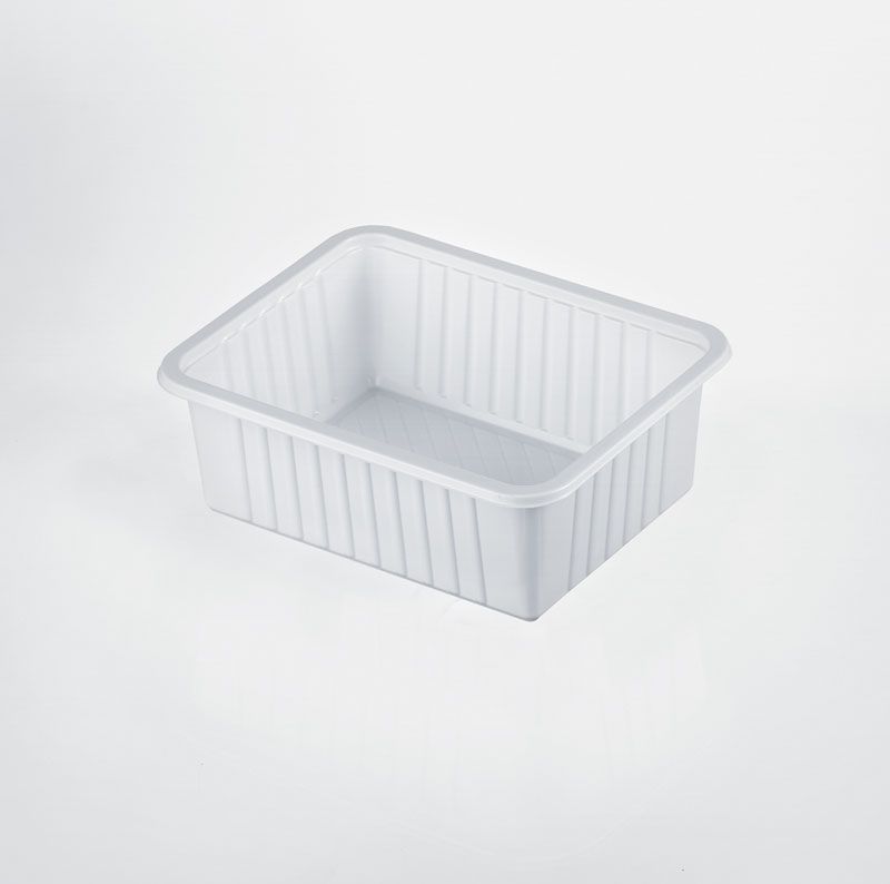 VASCHETTE GF2  (156X117XH.48) PZ.100 (9)