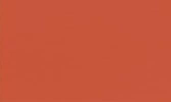 TOV. 100X100 AIRLAID PLUS ARANCIO PZ.25 (4)