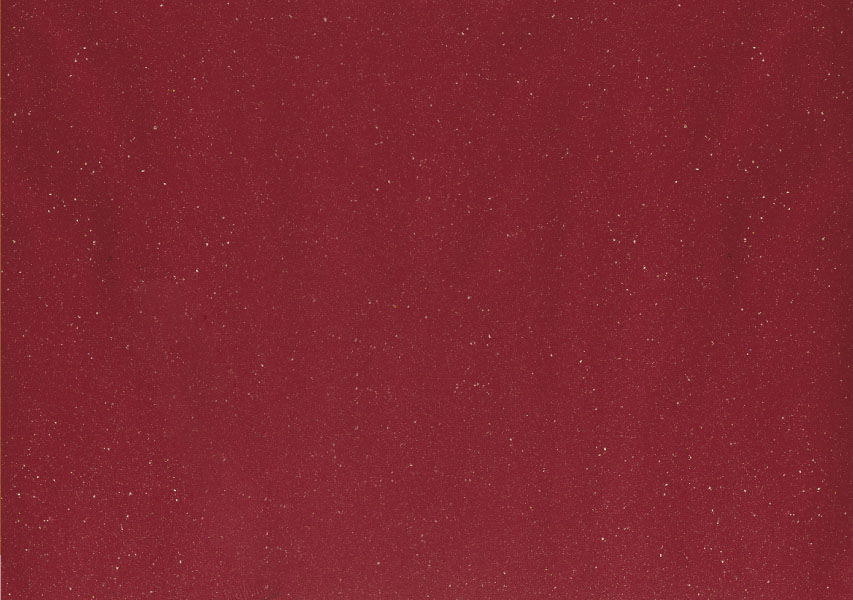 TOVAGLIETTE 30X40 FASHION BORDEAUX PZ.250 (4)
