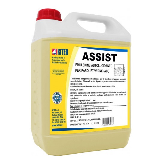 ASSIST CERA PARQUET AUTOLUCIDANTE LT.5 (2)