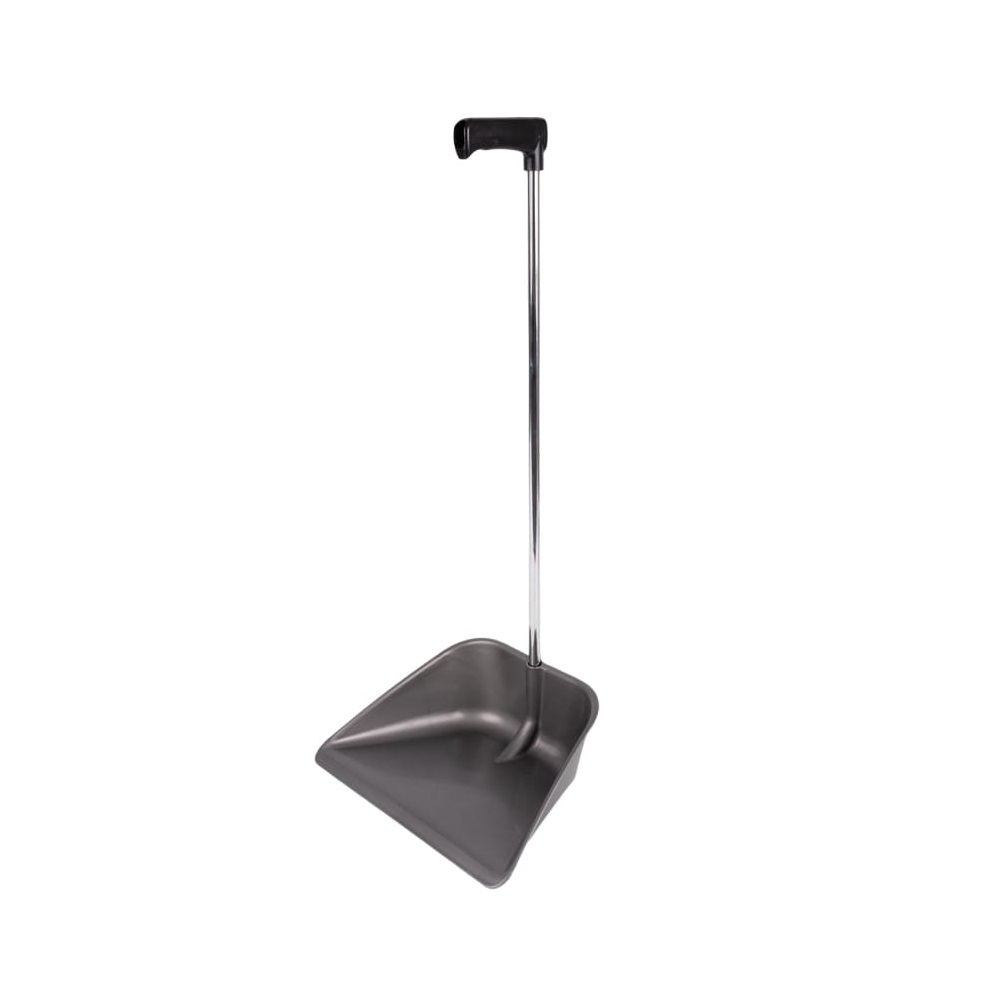 ALZAIMMONDIZIA SILVER SUPER RESISTENTE (6)