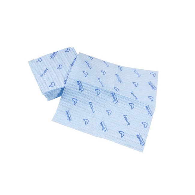 PANNO VILEDA BREAZY BLU CM.35X35 PZ.25 (12)