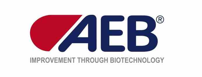 Logo AEB - marchio distribuito da Derby Savigliano